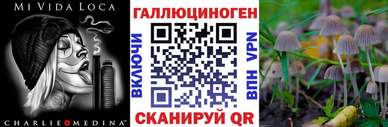 ОМГ ОМГ tor Почеп Галлюциногенные грибы Psilocybe хочу наркоту